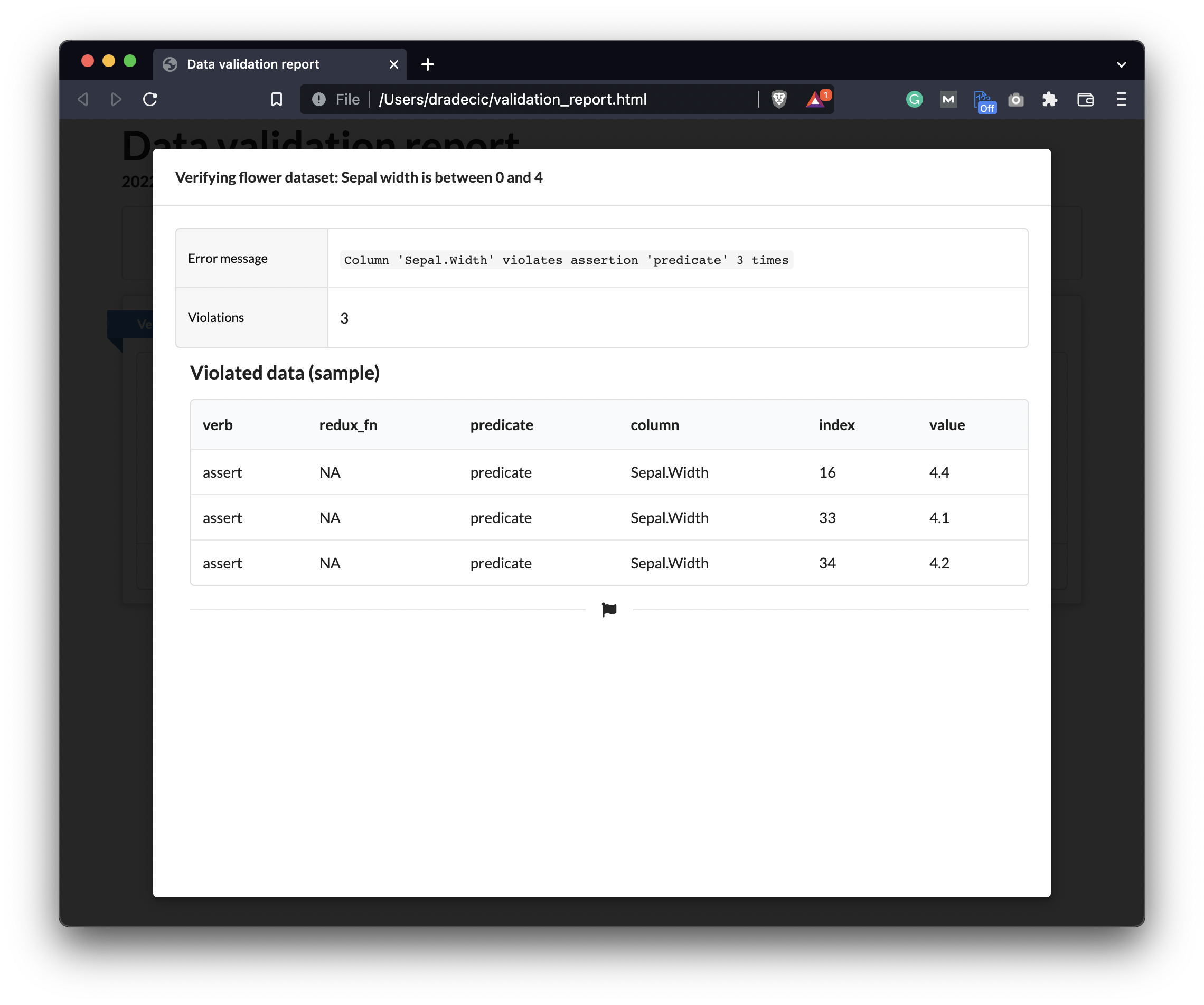 Image 10 - Validation report as an HTML document (2)